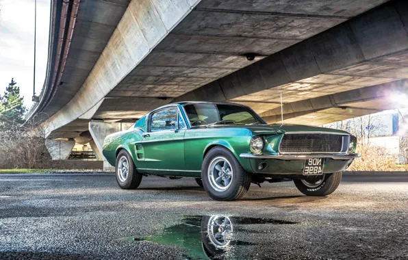 Picture Mustang, Ford, Mustang, Fall, Ford, Beautiful, Classic, Green