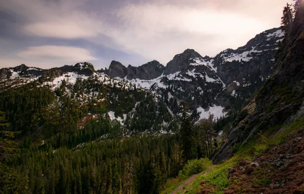 Picture forest, the sky, snow, mountains, tops