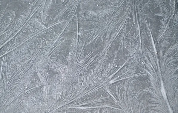 Picture frost, line, patterns, texture, frost