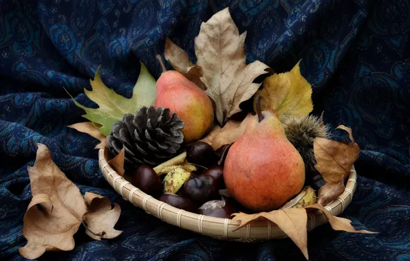 Autumn, leaves, bumps, pear, chestnuts