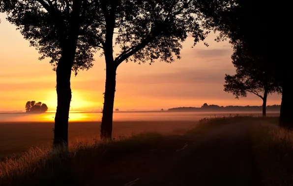 Picture road, field, the evening