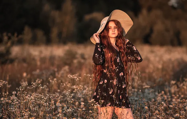 Field, summer, girl, sunset, flowers, nature, chamomile, hat