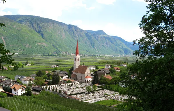 Picture mountains, field, village, Italy, Lana, plantation