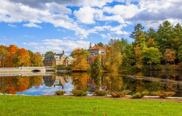Wallpaper Park, bridge, reflection, home, trees, shore, glade, lake