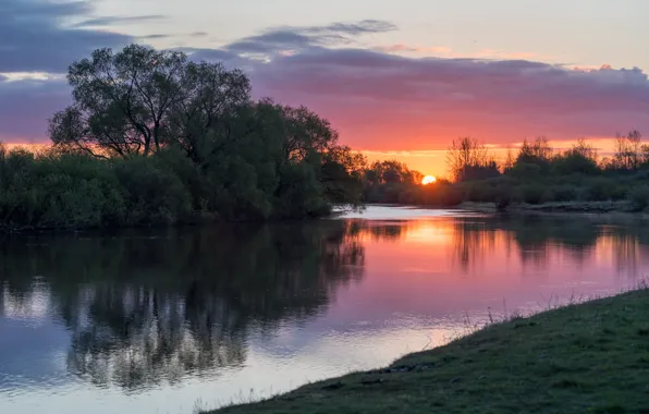 Summer, grass, the sun, trees, sunset, nature, river, the evening