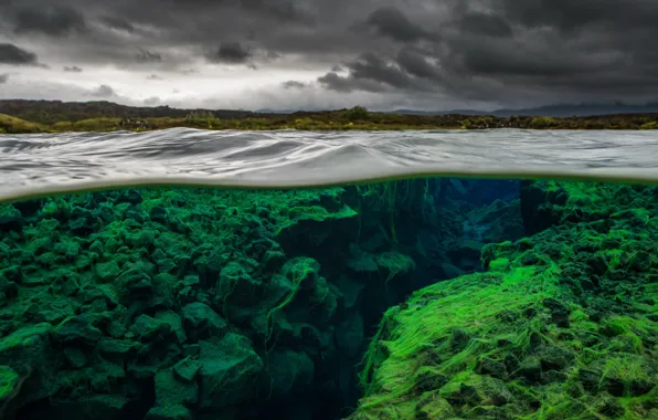 The sky, water, the bottom