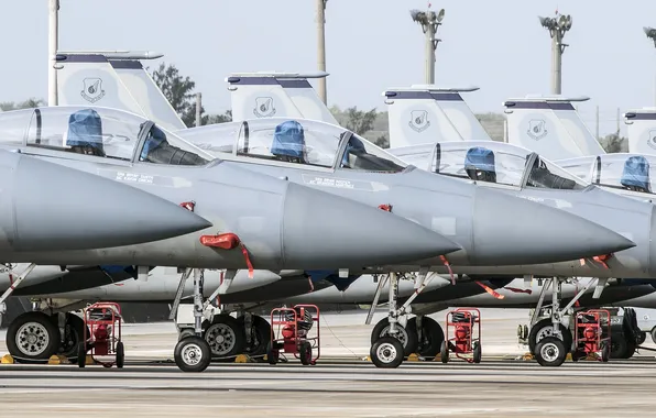 Picture fighters, Eagle, McDonnell Douglas, F-15C
