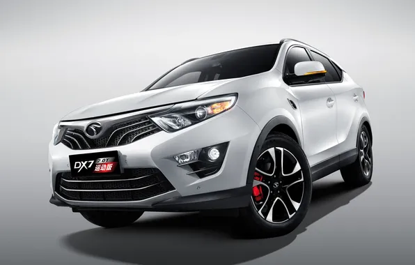 Crossover, DX7, Soueast, Soest