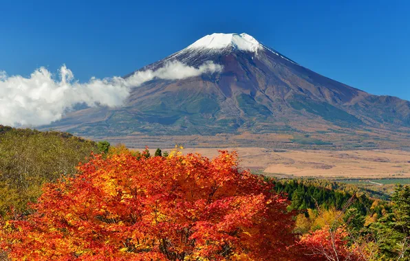 Autumn, the sky, leaves, trees, Japan, mount Fuji