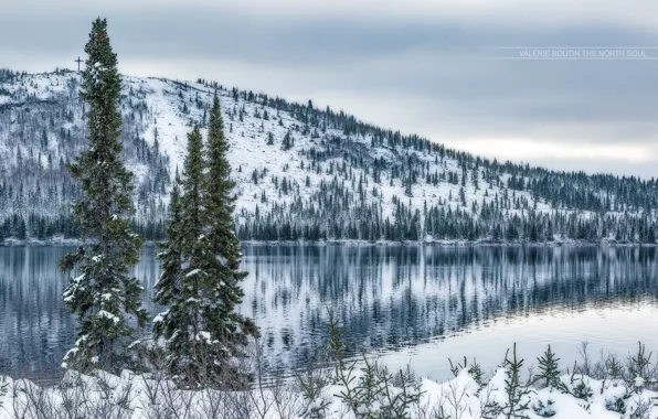 Picture winter, snow, lake, tree, mountain