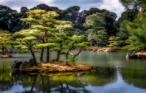 Trees, pond, stones, treatment, Japan, garden, island, Kyoto