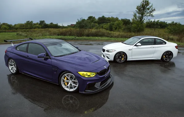 Picture Rain, Tuning, BMW, M4, IND, Cars, 2015-16