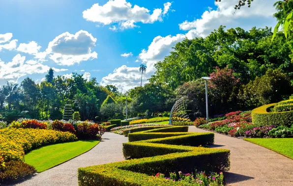 Picture light, sky, park, clouds, plants, australia, palm tree, parket