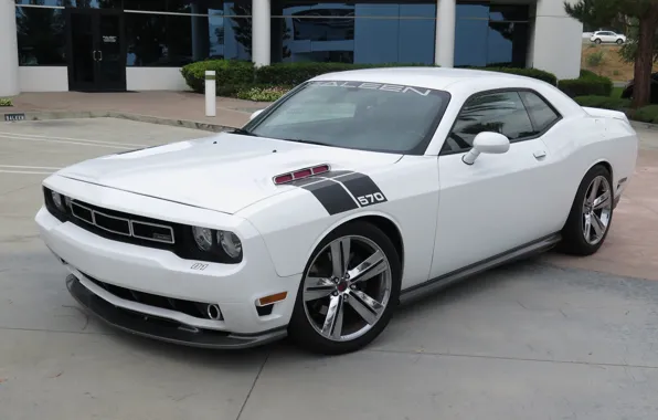 Picture Saleen, Dodge, Challenger, SMS, 570X