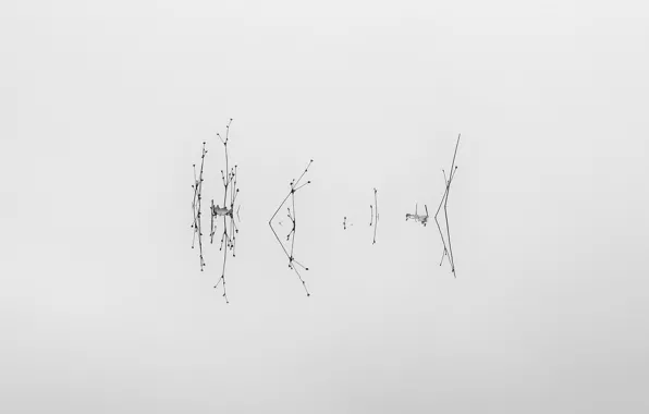 Water, lake, minimalism