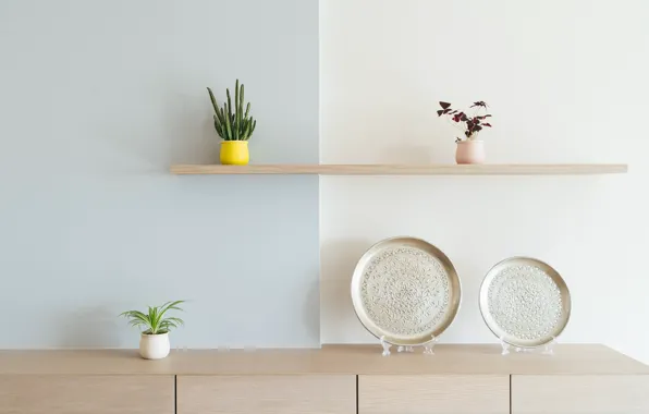 Plants, plates, shelf, pots