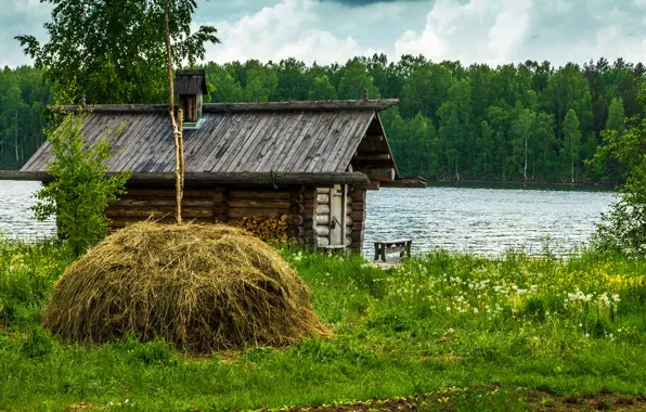 Greens, forest, summer, grass, trees, lake, house, shore