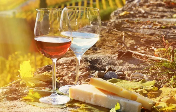 Picture wine, cheese, vinogradniki