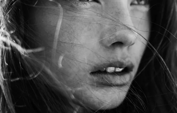 Picture freckles, sponge, teeth, b & W photo