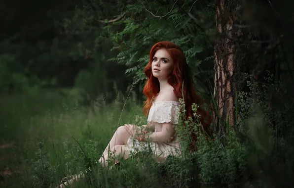 Picture summer, grass, look, girl, nature, pose, photo, red