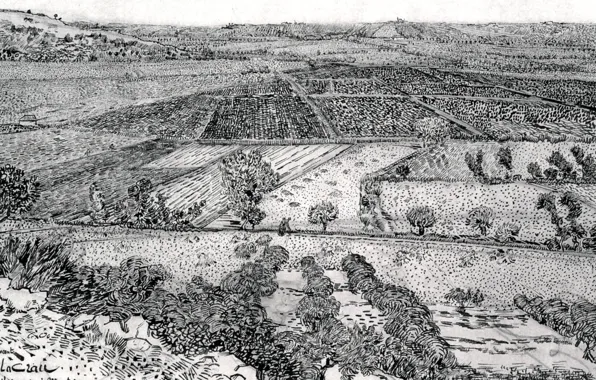 Picture field, crops, black and white, Vincent van Gogh, La Crau seen, from Montmajour