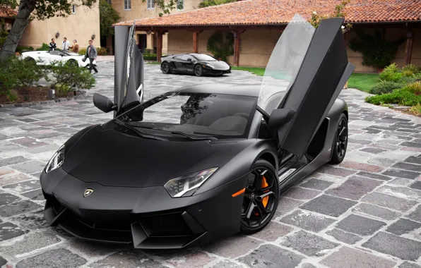 Picture Lamborghini, sport car, Lamborghini-Aventador, Lamba, black lamb