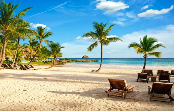 Sand, sea, beach, tropics, palm trees, shore, summer, beach