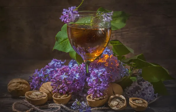 Picture wine, glass, branch, nuts, still life, rope, lilac, Vladimir Volodin