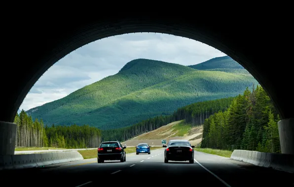 Road, auto, forest, mountains, nature, track, Tunel