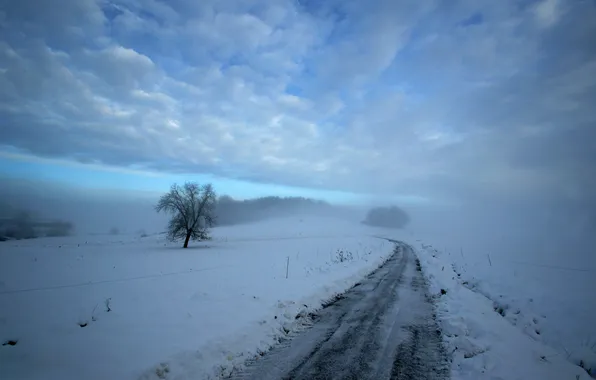 Winter, road, snow, tree
