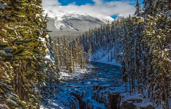Picture winter, forest, snow, mountains, river, Canada, Albert, Alberta