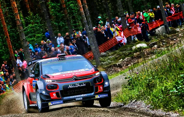 Winter, Auto, Snow, Forest, Sport, Machine, People, Race