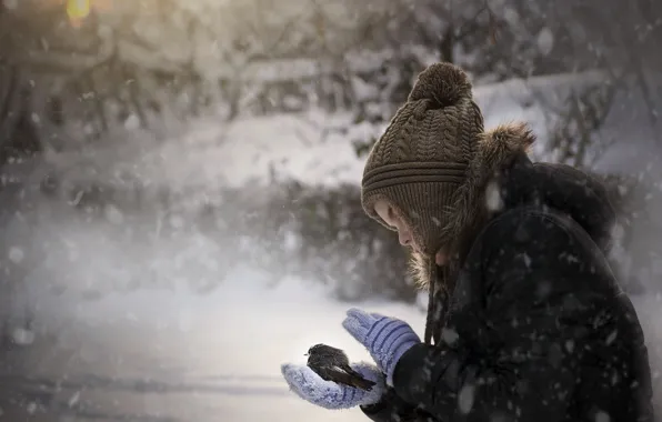 Picture cold, winter, bird, girl, fly, fly my little bird