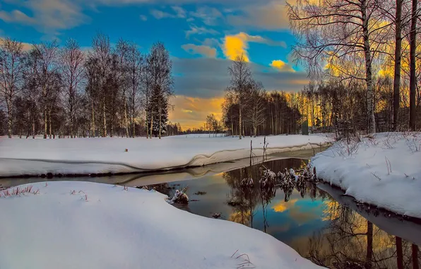 Picture winter, the sky, clouds, trees, nature, reflection, river