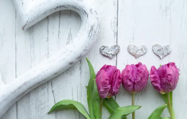 Flowers, holiday, heart, Board, hearts, tulips, white background, pink