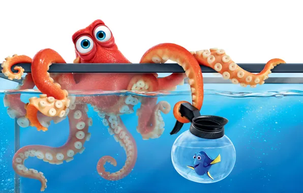 Picture cartoon, aquarium, fish, octopus, Dori, Finding Dory, In finding Dory