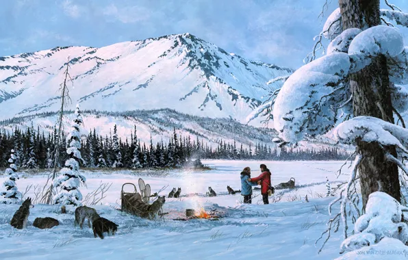 Winter, forest, dogs, snow, mountains, branches, nature, pose