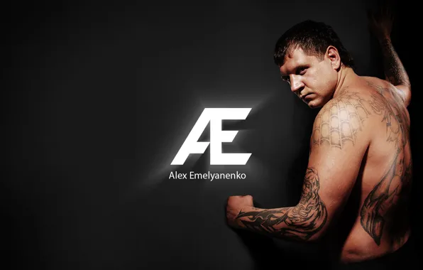 Picture battle, Emelianenko, Alexander, without, rules