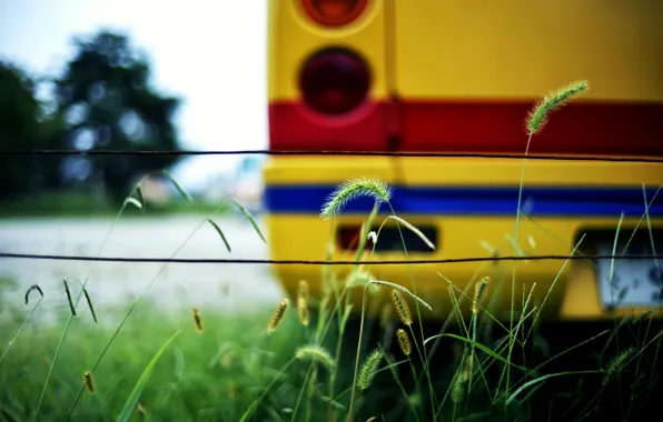 Grass, color, bus