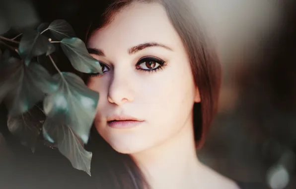 Look, leaves, girl, face, brown-eyed