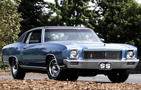 Picture blue, Chevrolet, Chevrolet, 1971, the front, 454, Muscle car, Muscle car