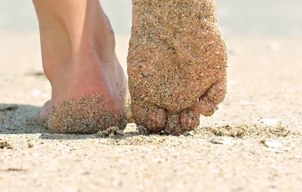 Beach, girl, background, Wallpaper, feet, mood, heel. sand. macro, summer. the sun