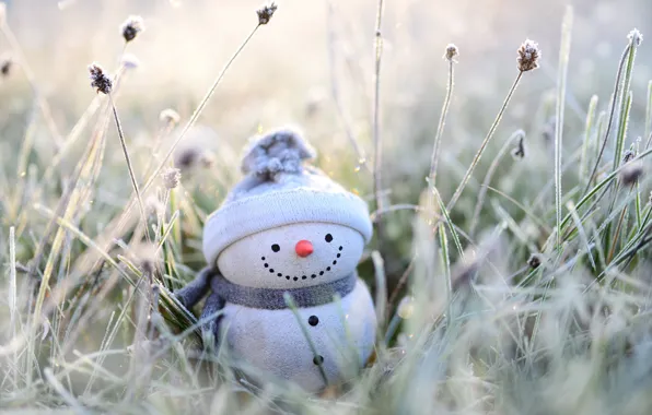 Winter, frost, grass, smile, holiday, toy, Christmas, New year