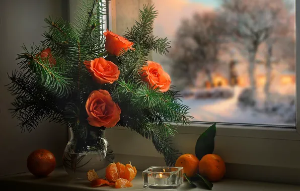 Winter, flowers, branches, holiday, new year, Christmas, roses, candle