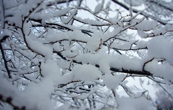 The first snow, December, Moldova