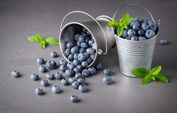 Berries, blueberries, placer, grey background, mint, bucket, blueberries, buckets