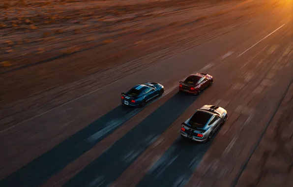 Speed, Mustang, Ford, Shelby, GT500, the view from the top, 2019