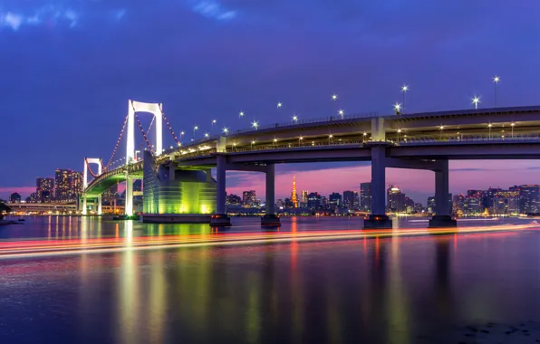 The sky, night, bridge, lights, building, home, excerpt, Japan