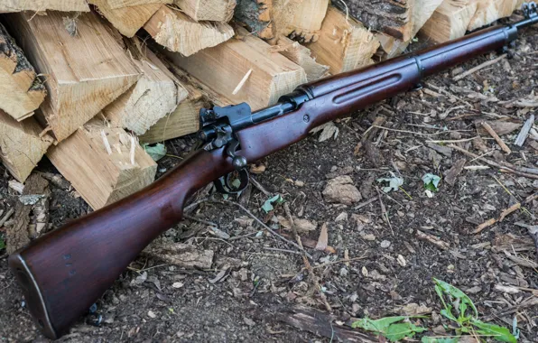 Weapons, rifle, M1917, store, Enfield