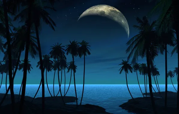 Landscape, night, palm trees, planet, satellite, vector